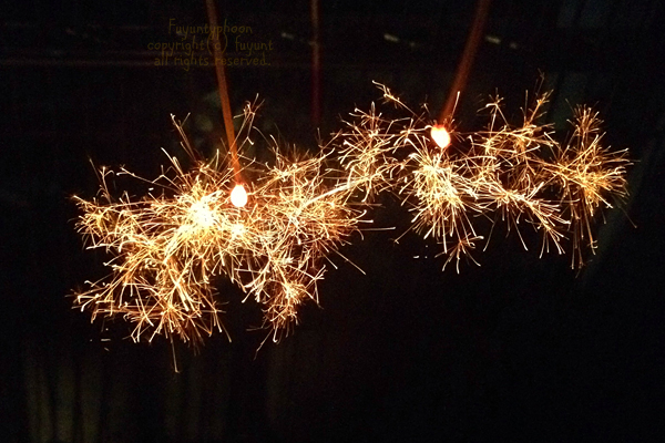 20140828_IMG_7773_firework.jpg