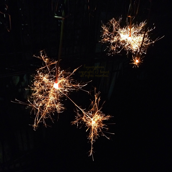 20140828_IMG_7777_firework.jpg
