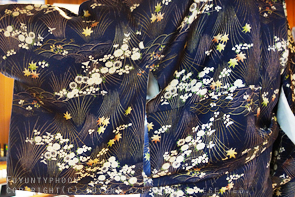 20150113_kimono4_295.jpg