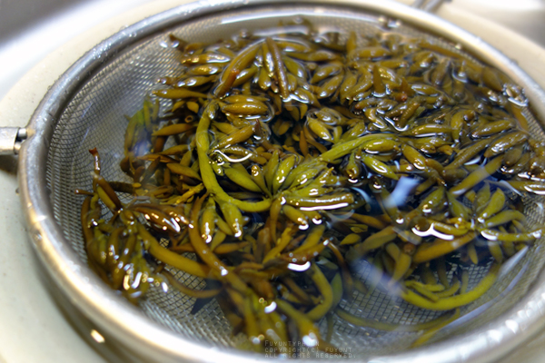 Hizikia fusiforme, seaweed, Japanese foods (h)fuyunt